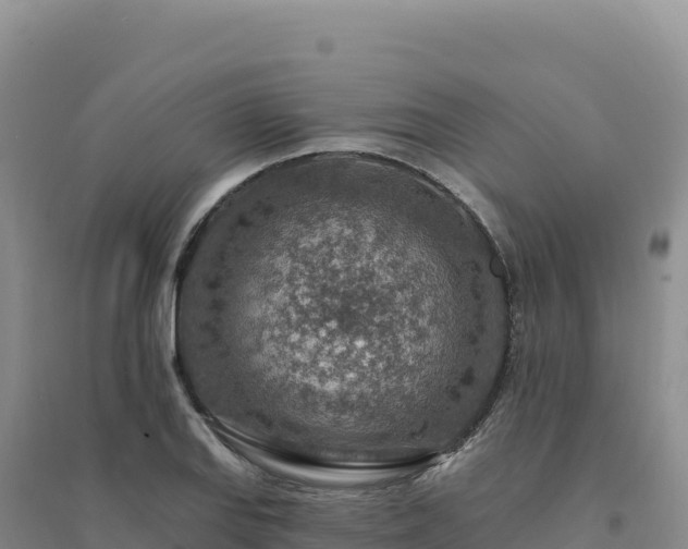 X0000094381127200711091555