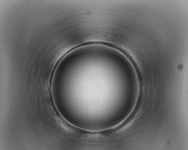 X0000094381129200711091555