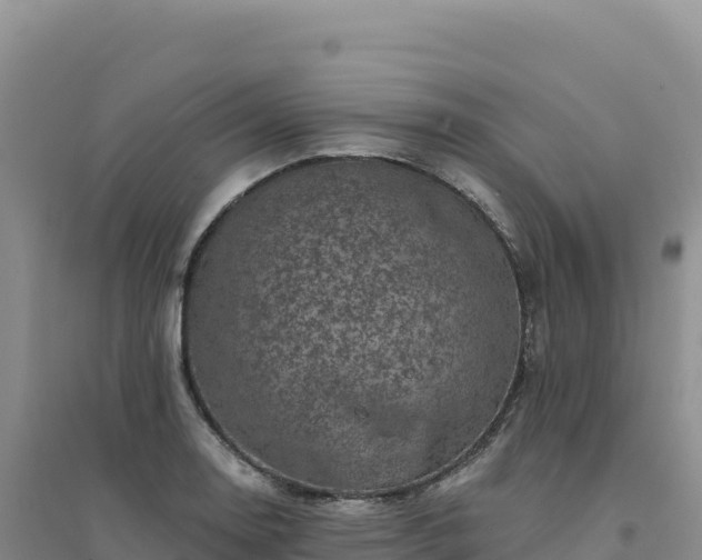 X0000094381130200711091555