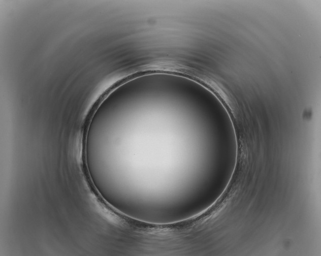 X0000094381131200711091555