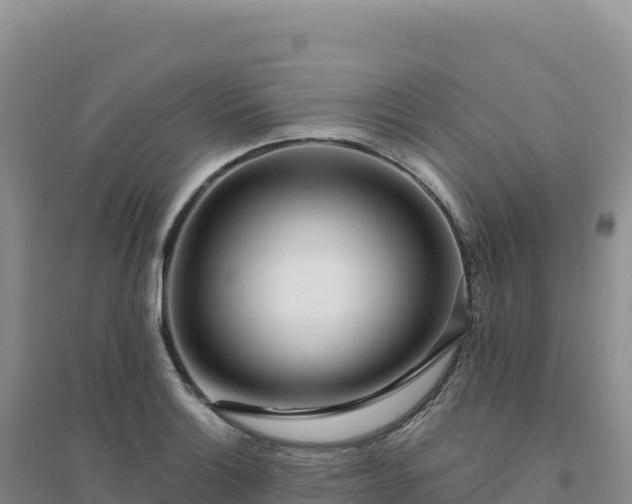 X0000094381132200711091555