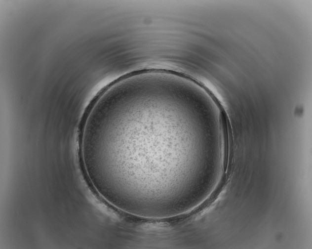 X0000094381133200711091555