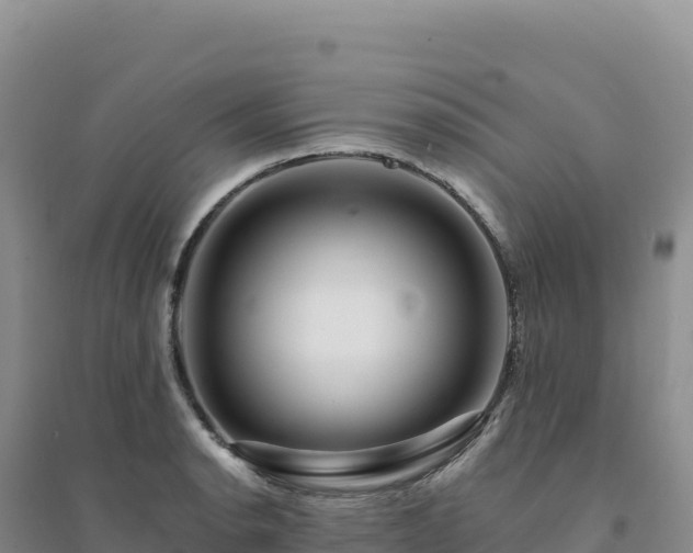 X0000094381134200711091555