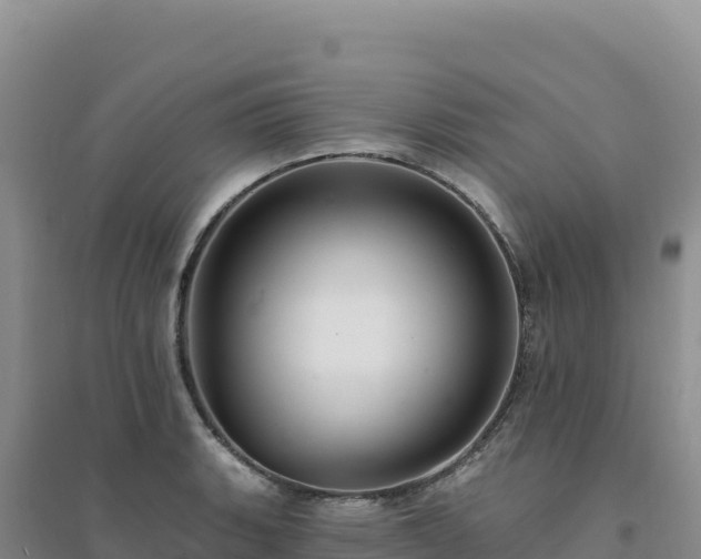 X0000094381135200711091555