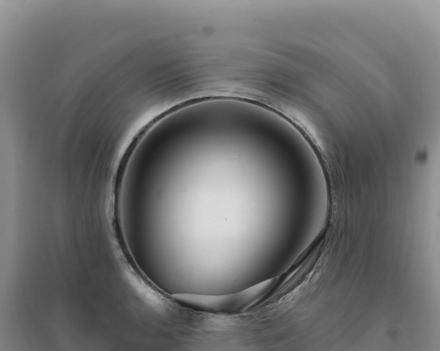 X0000094381136200711091555