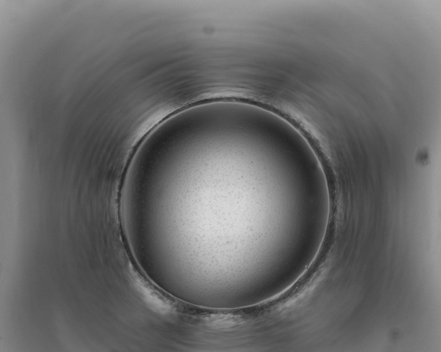 X0000094381137200711091555