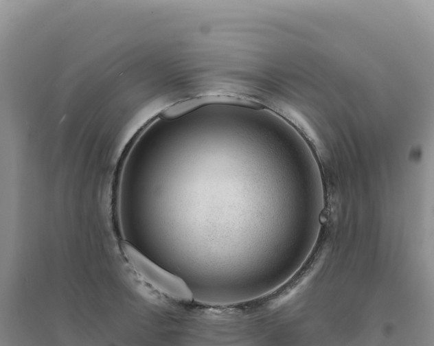 X0000094381138200711091555