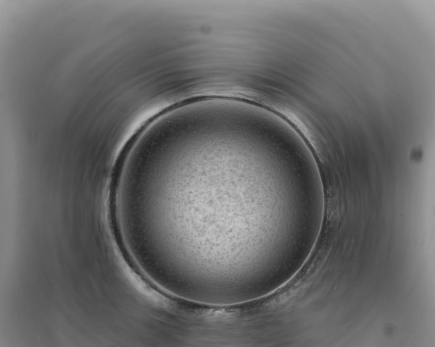 X0000094381139200711091555