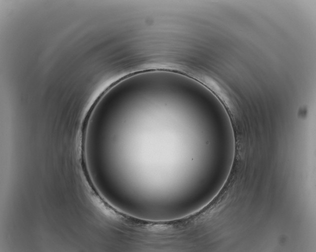 X0000094381140200711091555