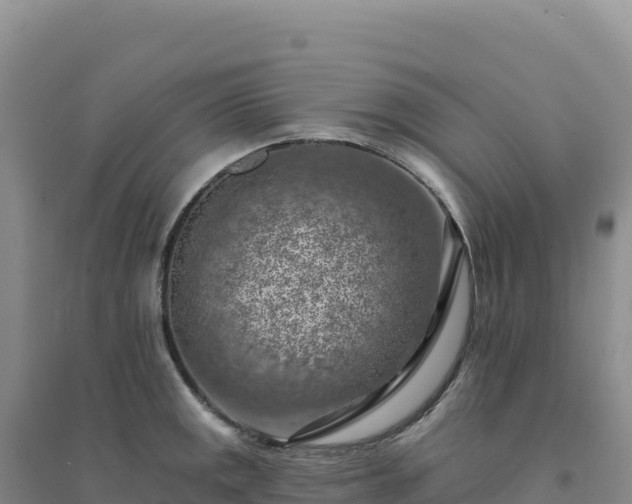 X0000094381141200711091555