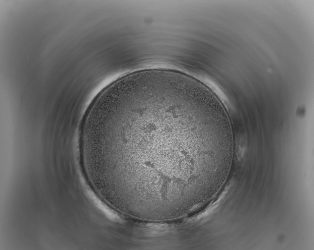 X0000094381142200711091555