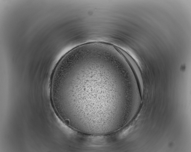 X0000094381143200711091555