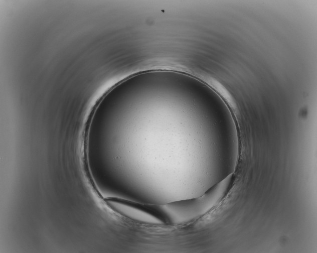 X0000094381144200711091555