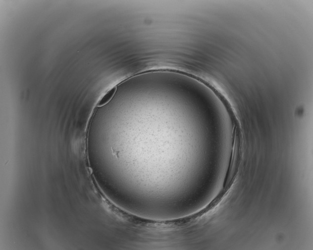 X0000094381145200711091555