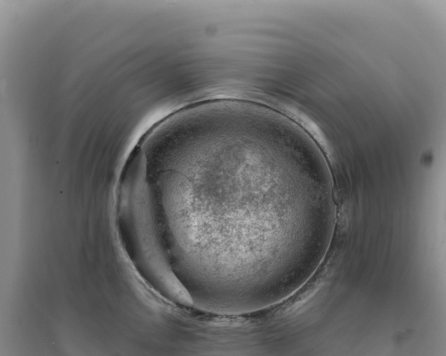 X0000094381146200711091555