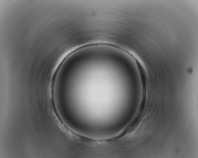 X0000094381148200711091555