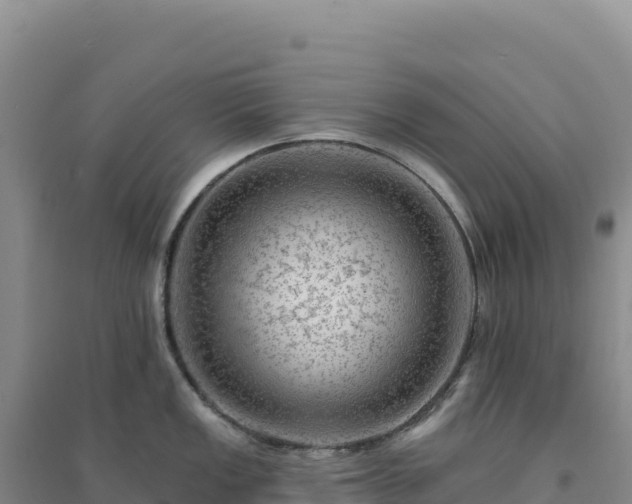 X0000094381149200711091555