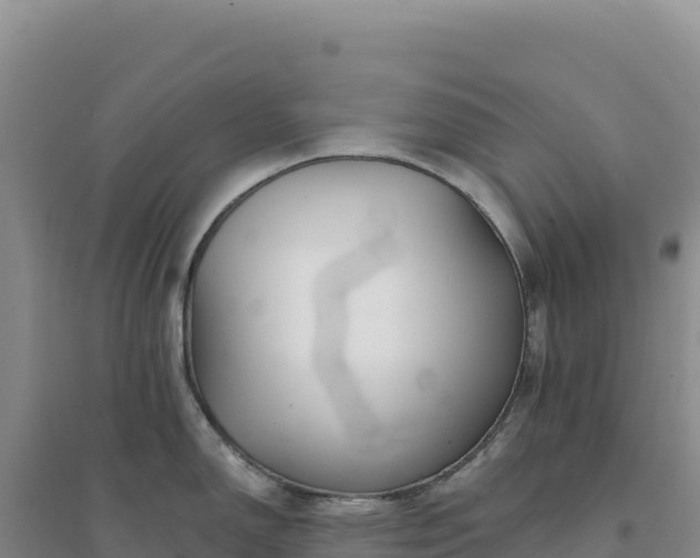 X0000094381150200711091555