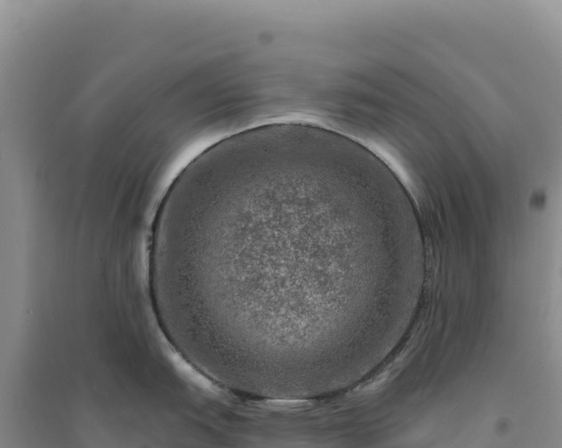 X0000094381151200711091555