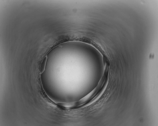 X0000094381153200711091555