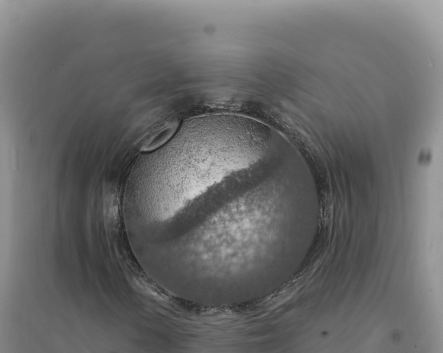 X0000094381154200711091555