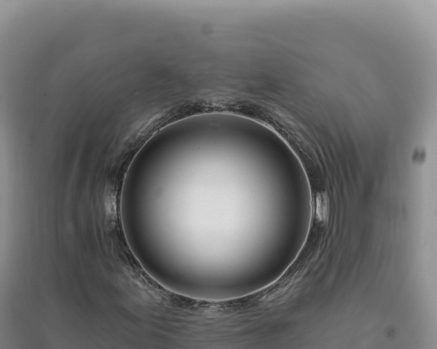 X0000094381155200711091555