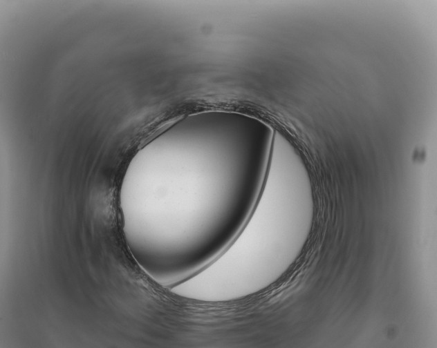 X0000094381156200711091555