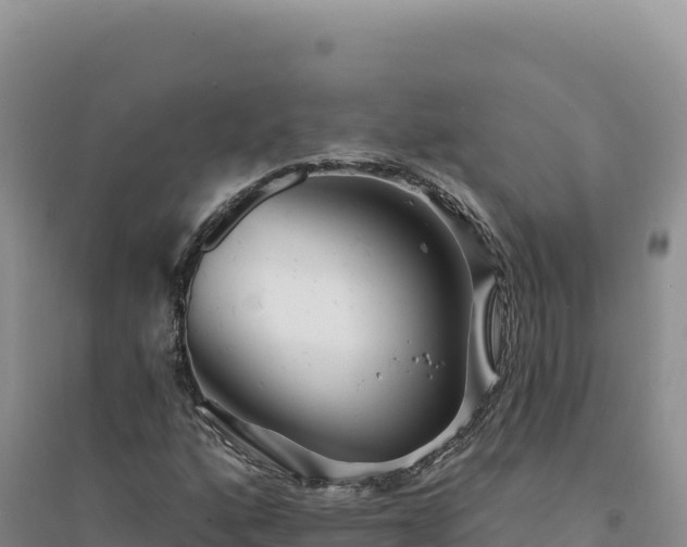 X0000094381160200711091554
