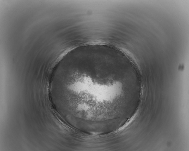 X0000094381161200711091554