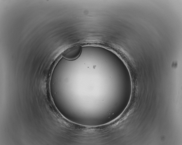 X0000094381162200711091554