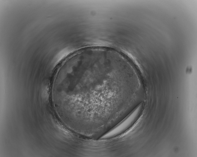 X0000094381163200711091554