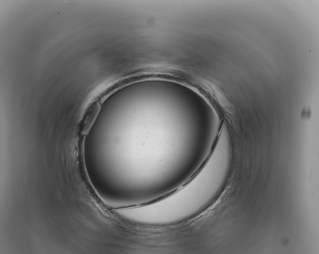 X0000094381164200711091554