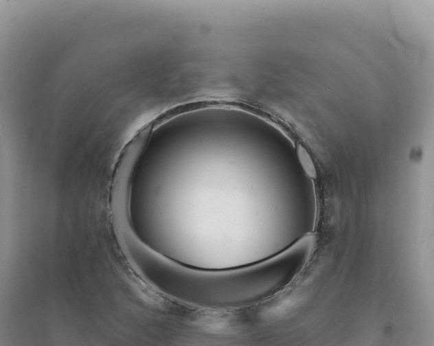 X0000094381168200711091554
