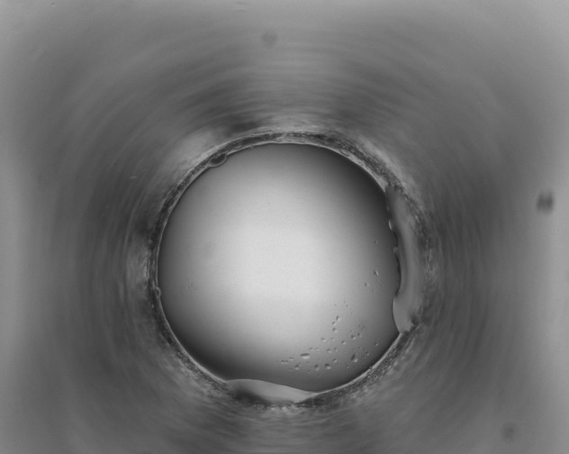 X0000094381169200711091554