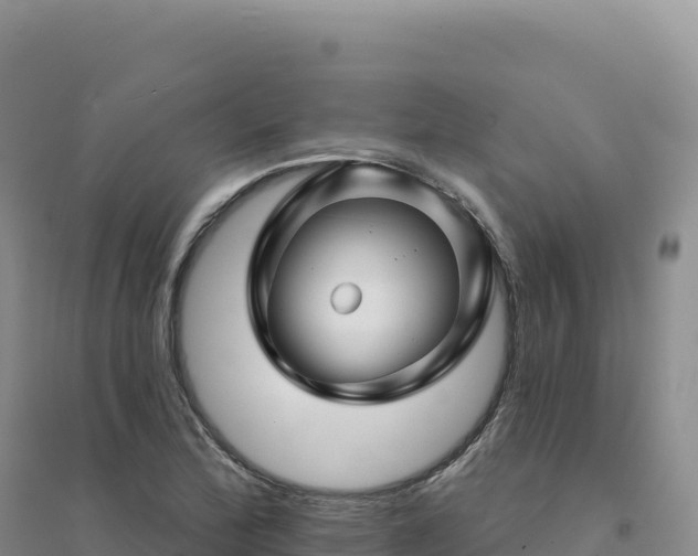 X0000094381172200711091554
