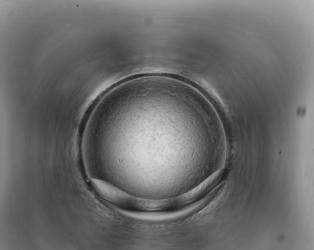 X0000094381173200711091554