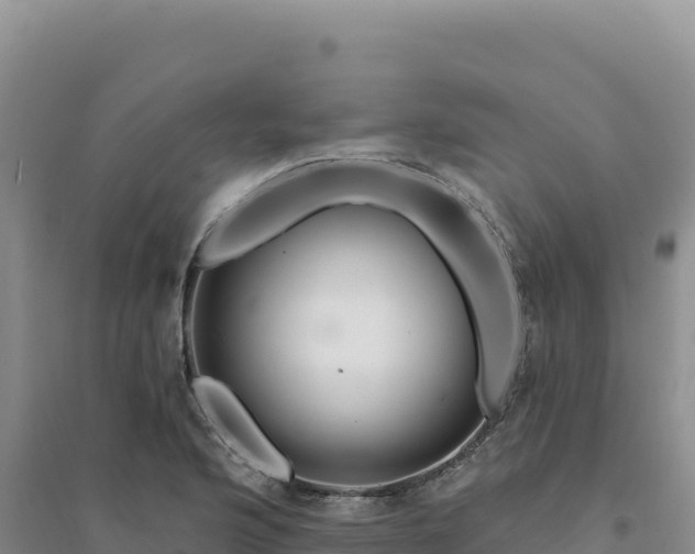 X0000094381176200711091554