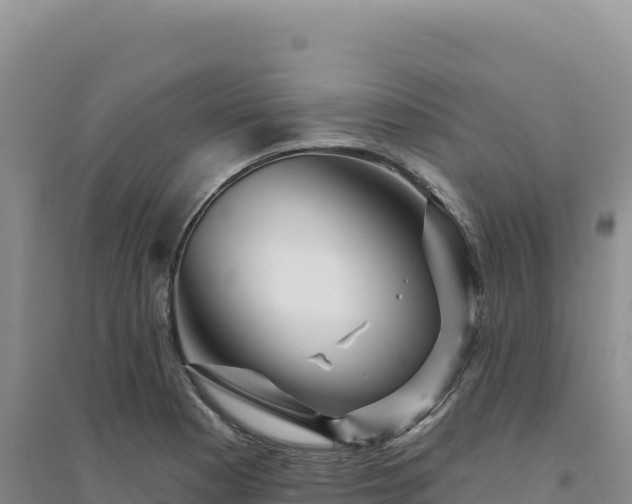 X0000094381177200711091554