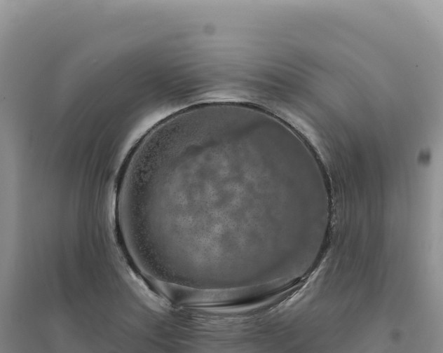 X0000094381179200711091554