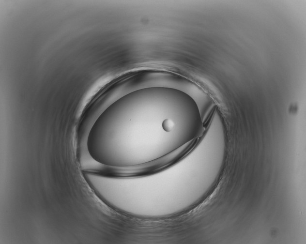 X0000094381180200711091554