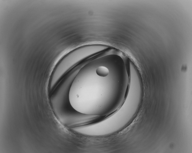 X0000094381181200711091554