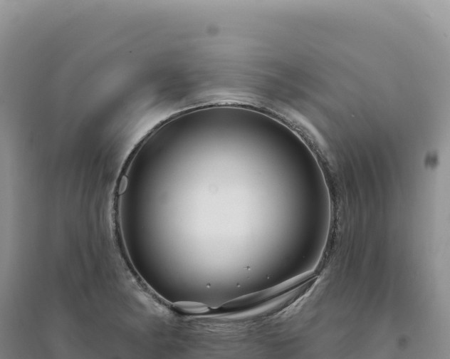 X0000094381182200711091554
