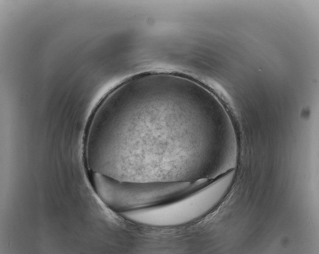 X0000094381183200711091554