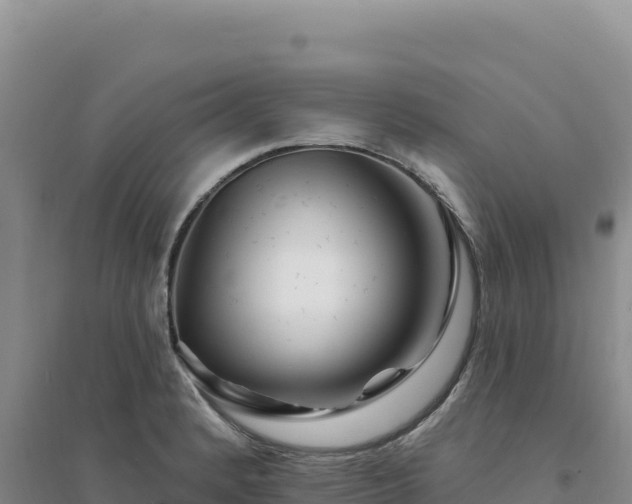 X0000094381184200711091554