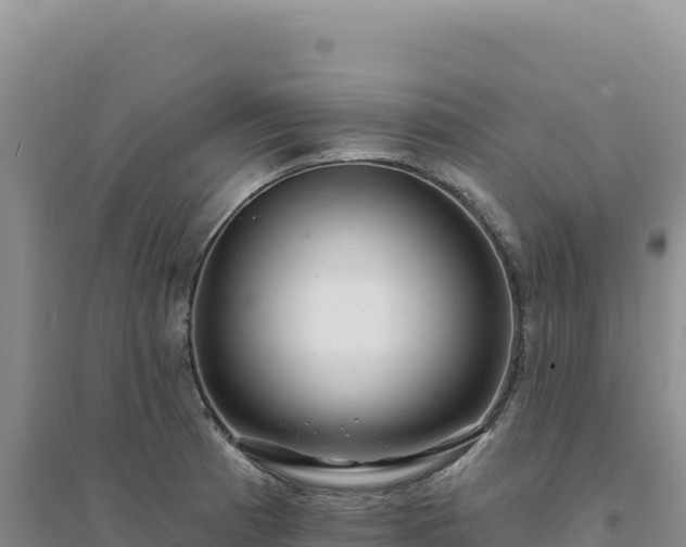 X0000094381185200711091554