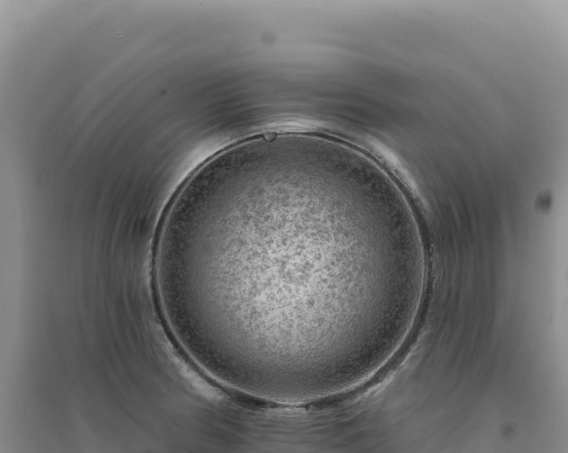 X0000094381186200711091554