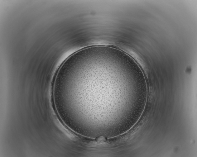 X0000094381187200711091554