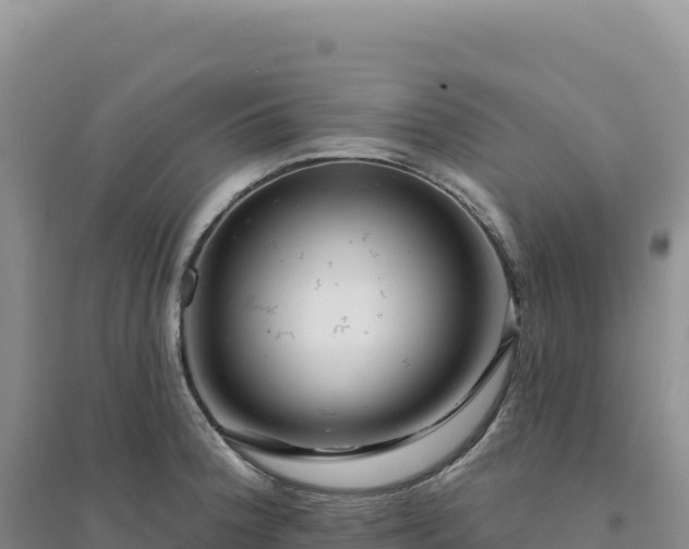 X0000094381188200711091554