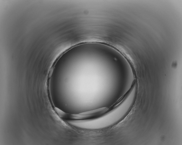 X0000094381189200711091554