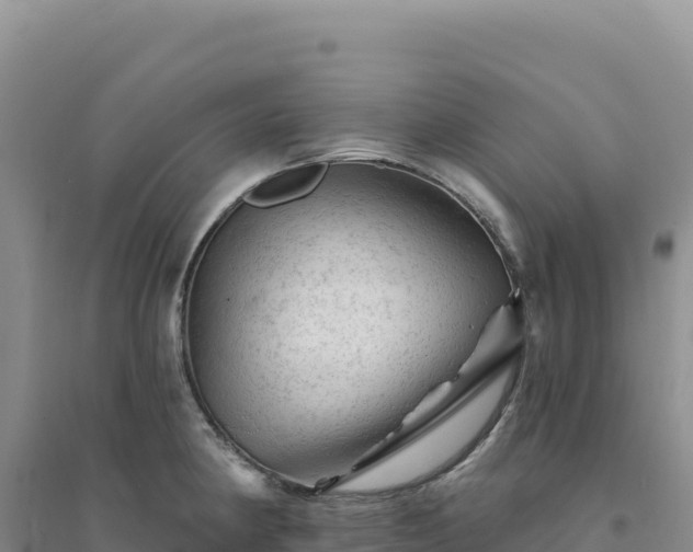 X0000094381190200711091554